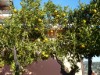Bild 27 - Aussen