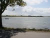 Billede 36