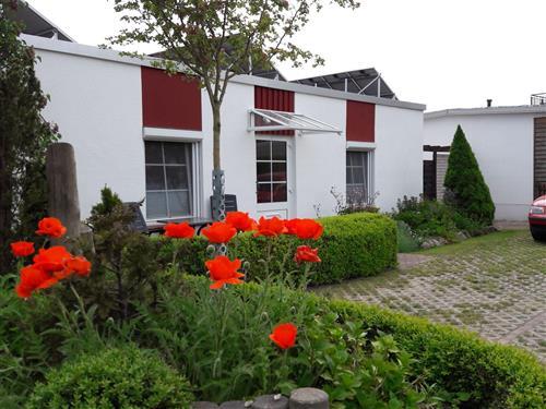 Ferieleilighet - 2 personer -  - Niehäger Str. - 18347 - Ahrenshoop