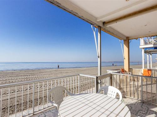 Ferienwohnung - 6 Personen -  - Avenida Dama de Elche - 03130 - Santa Pola