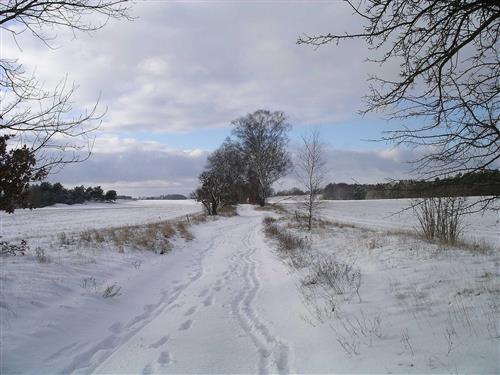 Semesterlägenhet - 3 personer -  - Lange Strasse - 16831 - Rheinsberg