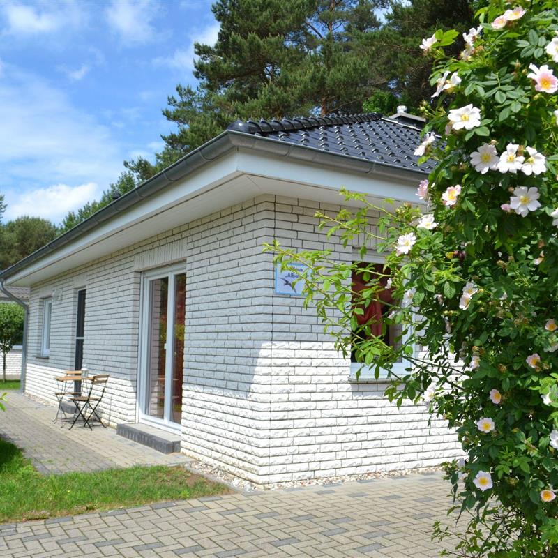 Sommerhus - 6 personer -  - Karlshagen - 17449