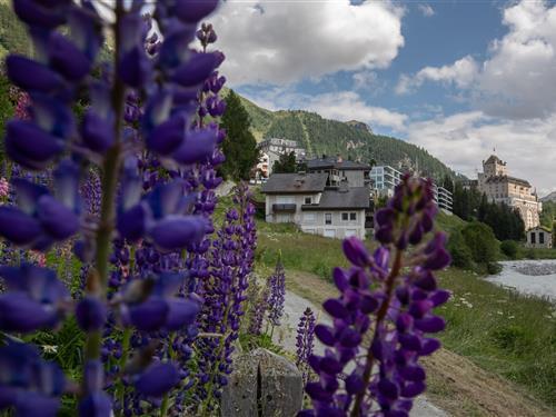 Holiday apartment - 2 persons -  - Via Da la Botta - 7504 - Pontresina