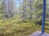 Bild 20 - Inde