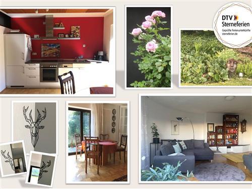 Ferielejlighed - 2 personer -  - Talstraße - 56459 - Kölbingen