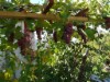 Image 21 - Outside