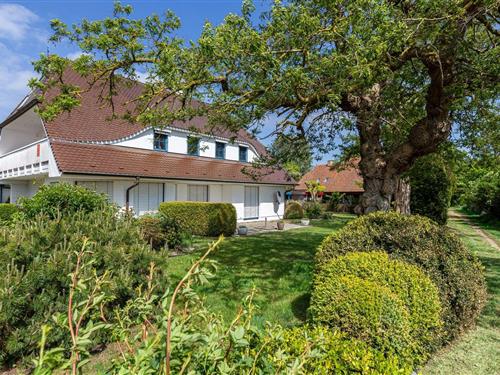 Ferielejlighed - 2 personer -  - Auf dem Branden - 18375 - Born