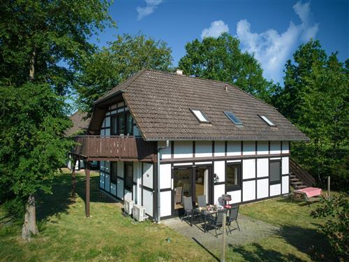 Ferienhaus - 4 Personen -  - Frankenau - 35110