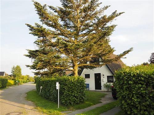 Feriehus - 7 personer -  - Achtern Diek - 26969 - Butjadingen / Burhave