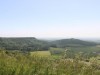Image 25