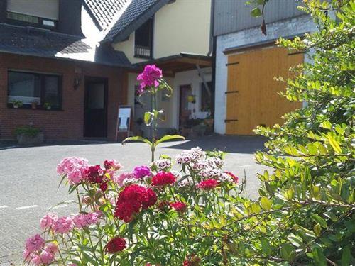 Holiday apartment - 2 persons -  - Junkersholz - 42799 - Leichlingen