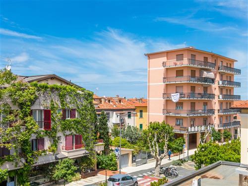 Holiday apartment - 4 persons -  - San Vincenzo - 57027