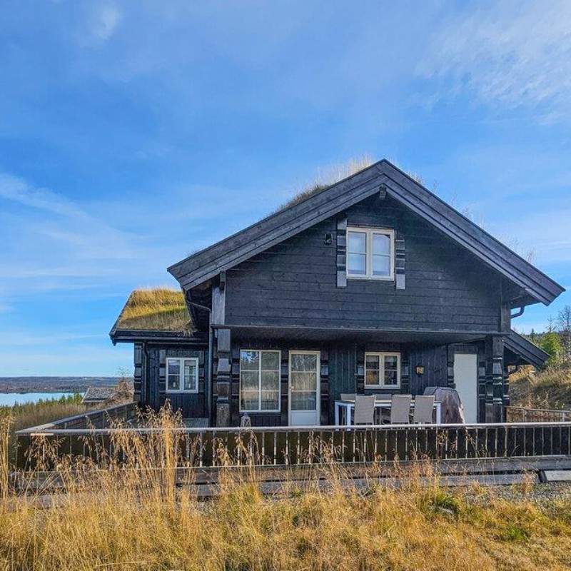 Sommerhus - 12 personer -  - Nissebergvegen - Golsfjellet - 3550 - Gol