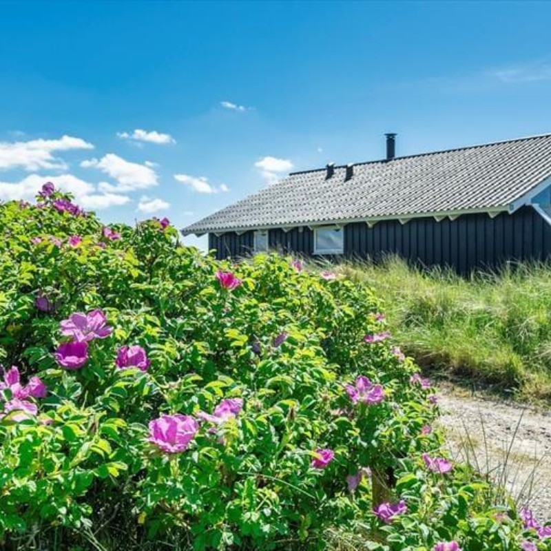 Ferienhaus - 4 Personen -  - Nordvej - Vejers Strand Og By - 6853 - Vejers Strand