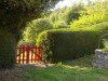 Image 14