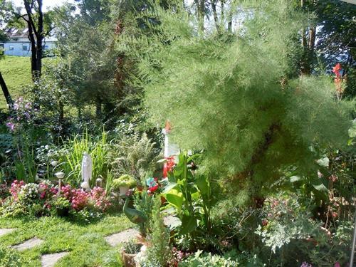 Ferienwohnung - 3 Personen -  - Inselstrasse - 79199 - Kirchzarten