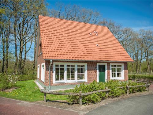 Feriehus - 9 personer -  - 48455 - Bad Bentheim