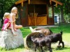 Billede 4