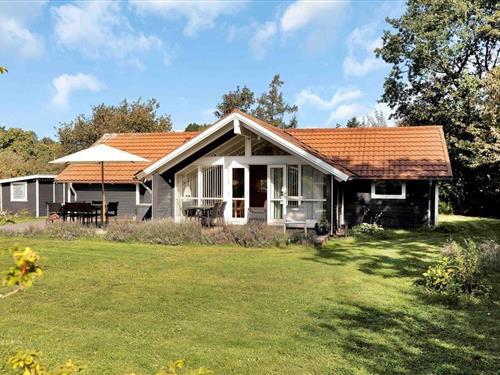 Sommerhus - 8 personer -  - Lindevej - Sejerø Bugt - Lyngområderne - 4550 - Asnæs