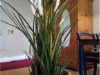 Bild 36