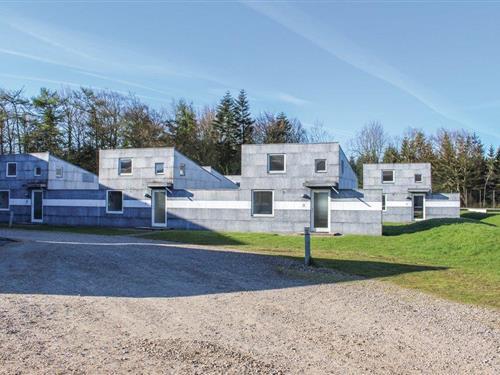 Ferienwohnung - 4 Personen -  - Idrætsvej 1, Hus - 6240 - Lögumkloster