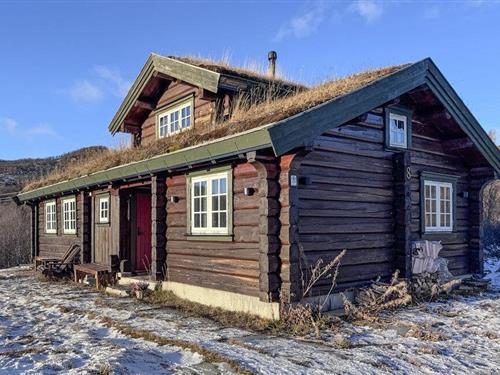 Sommerhus - 10 personer -  - Tjødnvollvegen - 3593 - Ustaoset