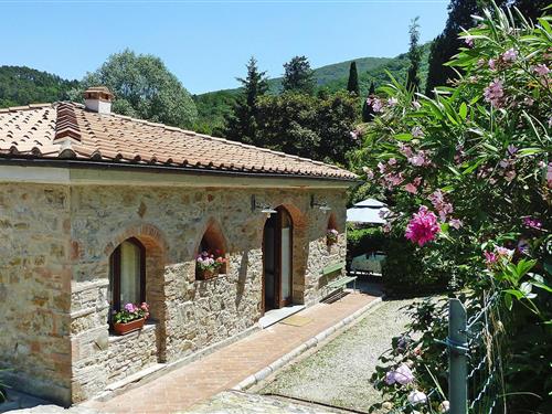 Holiday Home/Apartment - 6 persons -  - 56027 - Ripafratta