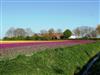 Image 11 - Outside
