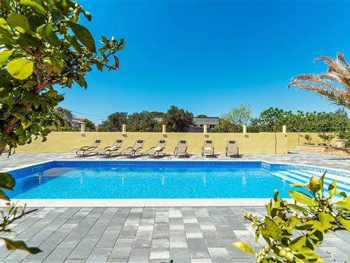 Holiday apartment - 10 persons -  - Bibinje - 23205 - Bibinje