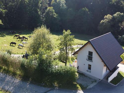 Ferienhaus - 6 Personen -  - Hartl - 8224 - Kaindorf Bei Hartberg