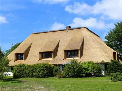 Ferienhaus - 3 Personen -  - Ostlandstraße - 25826 - St. Peter-Ording