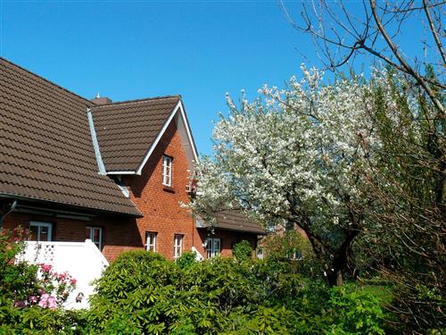 Holiday Home/Apartment - 2 persons -  - Wilhelminenweg - 24768 - Rendsburg