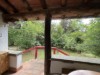 Billede 38