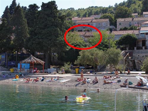 Holiday apartment - 4 persons -  - Trpimira Ivancevica - 20260 - Korcula