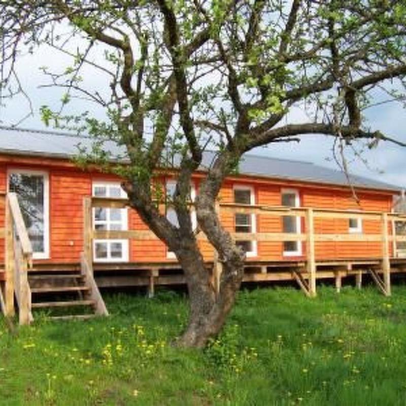 Sommerhus - 4 personer -  - Boitzenburger Land - 17268