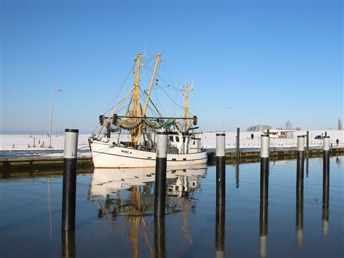 Ferienwohnung - 2 Personen -  - In der Langen Straße - 27639 - Wurster Nordseeküste