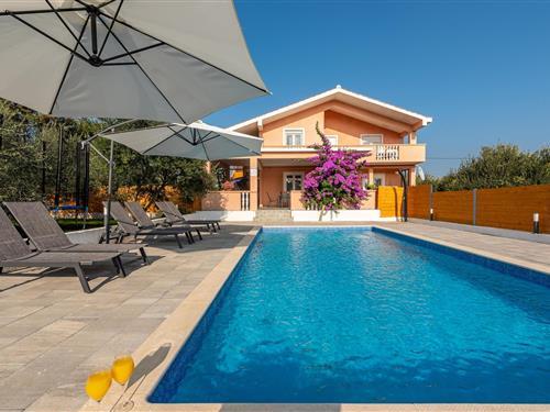 Semesterlägenhet - 6 personer -  - Zeleni gaj - Zadar - Glavica - 23206 - Glavica