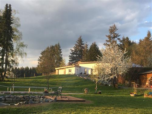 Ferieleilighet - 5 personer -  - Birkenweg - 54552 - Ellscheid