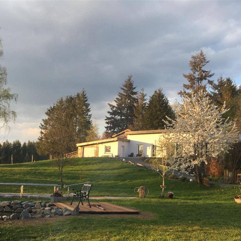 Ferielejlighed - 5 personer -  - Birkenweg - 54552 - Ellscheid