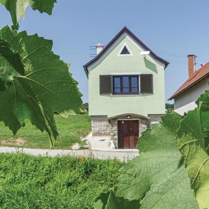 Sommerhus - 4 personer -  - Unterer Weinweg - Deutsch Schützen-Südburgenland - 7474 - Deutsch Schützen