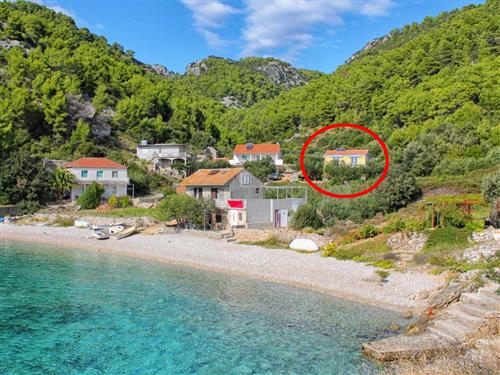 Ferielejlighed - 4 personer -  - Gdinj 336, uvala Skozanje - 21467 - Gdinj-Virak