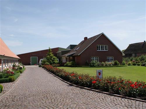 Ferieleilighet - 4 personer -  - Hohenfelde 82 a - 21720 - Steinkirchen