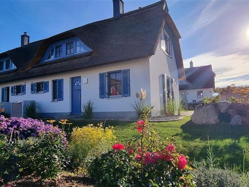 Sommerhus - 5 personer -  - De Poeler Drift - 23968 - Zierow