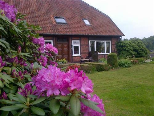 Ferieleilighet - 2 personer -  - Düshop - 29683 - Fallingbostel