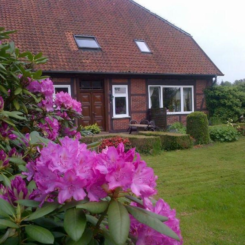 Ferielejlighed - 2 personer -  - Düshop - 29683 - Fallingbostel