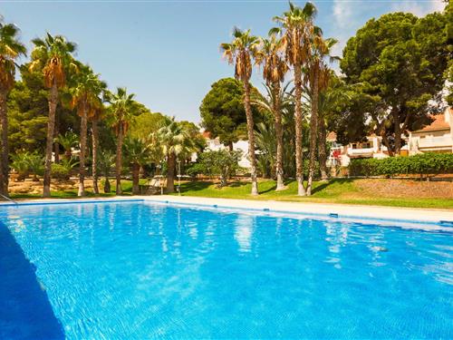 Ferielejlighed - 4 personer -  - Calle Isla de Escombreras - 30868 - Puerto De Mazarron
