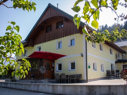 Holiday apartment - 15 persons -  - Janslweg - 4824 - Gosau