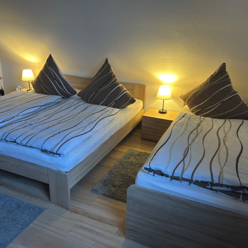 Ferielejlighed - 6 personer -  - Rehburg - 31547