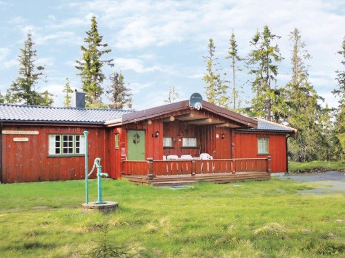 Feriehus - 10 personer -  - Sjusjøen - brøttum - 2612 - Sjusjøen