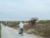 Billede 17